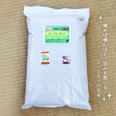 【栽培期間中農薬不使用】米旋風 玄米 2kg×2種  食べ比べセット[ABF012]
