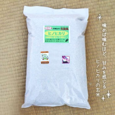【栽培期間中農薬不使用】米旋風 玄米 2kg×2種  食べ比べセット[ABF012]