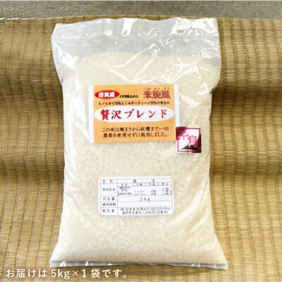 【令和8年産 新米】 米旋風 贅沢 ブレンド 5kg 《糸島》【百笑屋】 [ABF005]