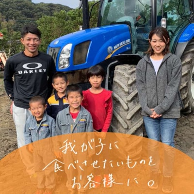  米旋風 贅沢 ブレンド 5kg 《糸島》【百笑屋】 [ABF005]