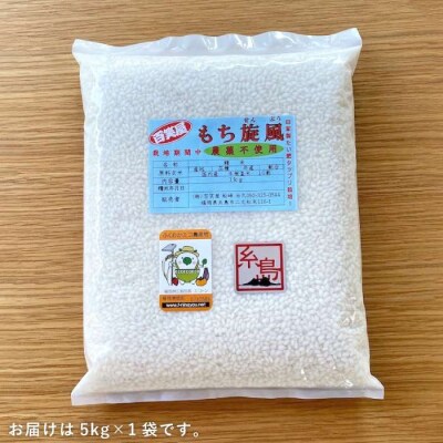 もち旋風 もち米 5kg 《 糸島 》【百笑屋】 [ABF008] 米 お米 糯米 餅米 餅