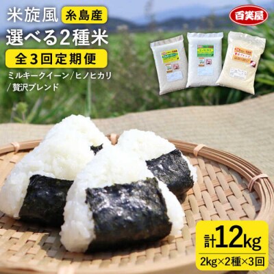 【全3回定期便】米旋風 選べる お米 2種 セット(2kg×2)《糸島》[ABF014] 