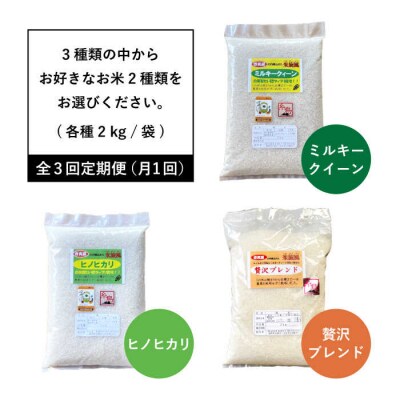 【全3回定期便】米旋風 選べる お米 2種 セット(2kg×2)《糸島》[ABF014] 