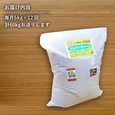 【全12回定期便】米旋風 ミルキークイーン 玄米 5kg 《糸島》【百笑屋】[ABF031]