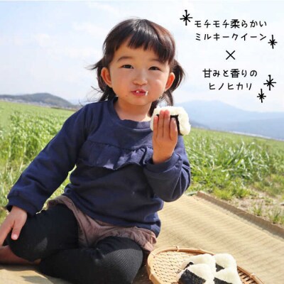 【全6回定期便】米旋風 贅沢 ブレンド 米 5kg 《糸島》【百笑屋】 [ABF027]