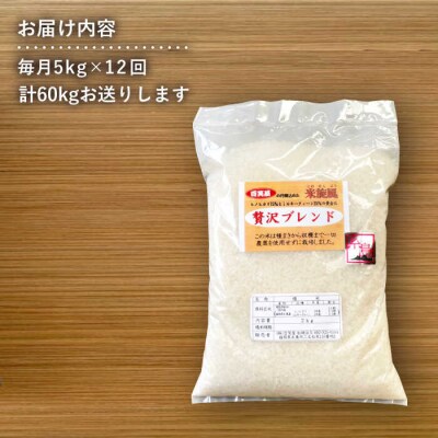 【全12回定期便】米旋風 贅沢 ブレンド 米 5kg 《糸島》【百笑屋】 [ABF028]
