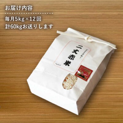 【全12回定期便】二丈の赤米 ブレンド 5kg  《糸島》【百笑屋】 [ABF040]お米