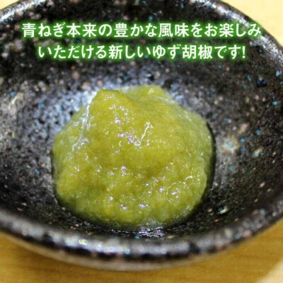糸島 青ねぎ ゆず胡椒 110g×5本 セット 《糸島》 【山口食品工業株式会社】 [ABI001]