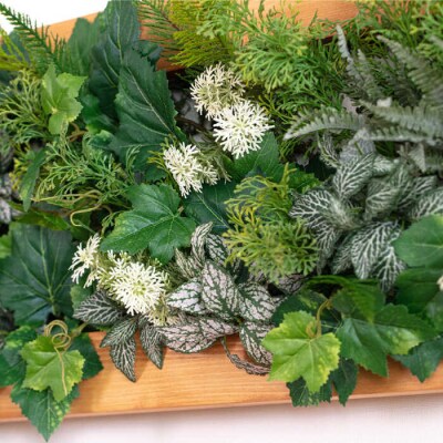 Wall Green 糸島市 / HAKATAYA【博多屋家具店】 [ABL002]