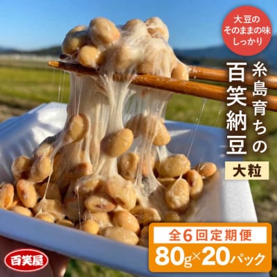 【全6回定期便】【糸島育ち】百笑 納豆 20パック 《糸島》【百笑屋】 [ABF042]