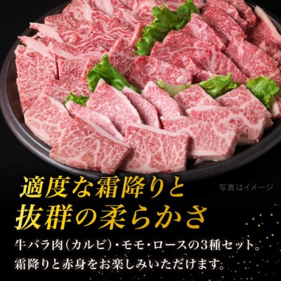黒毛和牛 焼肉/バーベキューセット 3品盛り 計1.5kg【糸島ミートデリ工房】[ACA044]