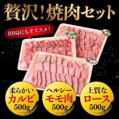 黒毛和牛 焼肉/バーベキューセット 3品盛り 計1.5kg【糸島ミートデリ工房】[ACA044]