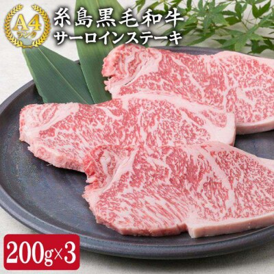 A4ランク黒毛和牛 サーロインステーキ 200g×3枚 【糸島ミートデリ工房】 [ACA059]