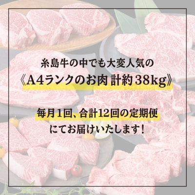 【全12回定期便】黒毛和牛 プレミアムセット 福岡県産【糸島ミートデリ工房】[ACA076]