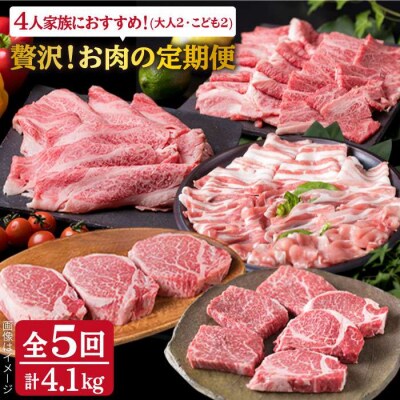 お肉の定期便 全5回(月1回)【牛肉 豚肉 鶏肉 ヒレ シャトーブリアン ロース】[ACA083]