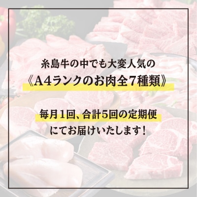 お肉の定期便 全5回(月1回)【牛肉 豚肉 鶏肉 ヒレ シャトーブリアン ロース】[ACA083]