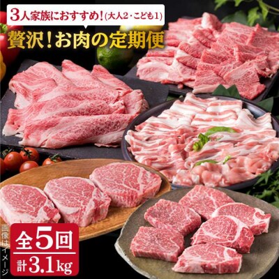 お肉の定期便 全5回(月1回)【牛肉 豚肉 鶏肉 ヒレ シャトーブリアン ロース】[ACA084] 