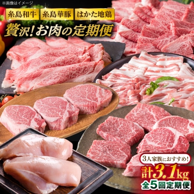 お肉の定期便 全5回(月1回)【牛肉 豚肉 鶏肉 ヒレ シャトーブリアン ロース】[ACA084] 