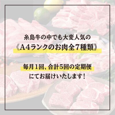 お肉の定期便 全5回(月1回)【牛肉 豚肉 鶏肉 ヒレ シャトーブリアン ロース】[ACA084] 