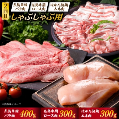 お肉の定期便 全5回(月1回)【牛肉 豚肉 鶏肉 ヒレ シャトーブリアン ロース】[ACA084] 