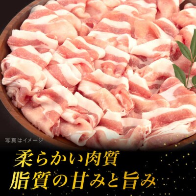 【 しゃぶしゃぶ 】糸島華豚 ロース 肉 スライス 600g【糸島ミートデリ工房】 [ACA091]