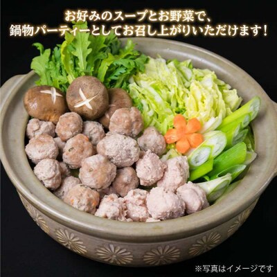 (掲載不可)自家製つみれ鍋セット(華豚/華味鳥)計2.6kg【糸島ミートデリ工房】