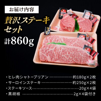 【極厚ステーキ】シャトーブリアン×2枚 サーロインステーキ×2枚 計4枚 博多和牛[ACA176]