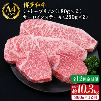 【全12回定期便】極厚ステーキ シャトーブリアン×2 サーロインステーキ×2 計4枚[ACA179]