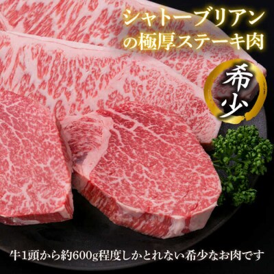 【全12回定期便】極厚ステーキ シャトーブリアン×2 サーロインステーキ×2 計4枚[ACA179]