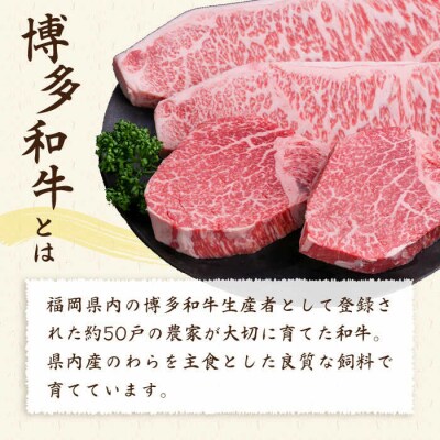 【全12回定期便】極厚ステーキ シャトーブリアン×2 サーロインステーキ×2 計4枚[ACA179]