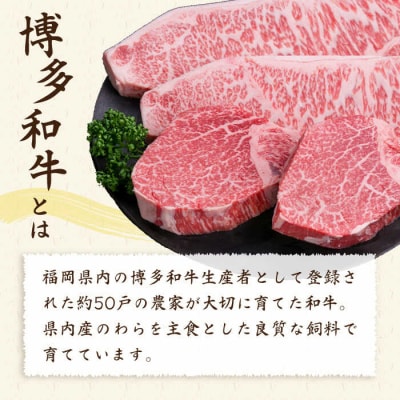 【全12回定期便】極厚ステーキ シャトーブリアン×2 サーロインステーキ×2 計4枚[ACA179]