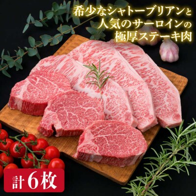 【全3回定期便】極厚ステーキ シャトーブリアン×3 サーロインステーキ×3 計6枚[ACA181]