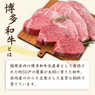 【全3回定期便】極厚ステーキ シャトーブリアン×3 サーロインステーキ×3 計6枚[ACA181]