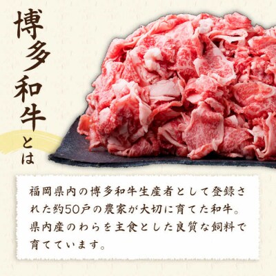 【全3回定期便】A4、A5ランク 博多和牛 切り落とし1kg(250g×4P) [ACA189]
