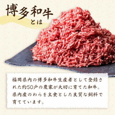 【全3回定期便】A4ランク 博多和牛 ハンバーグ用 ミンチ 800g(400g×2)[ACA225]