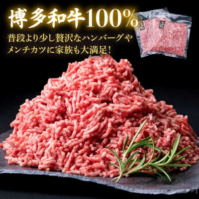 【全12回定期便】A4ランク 博多和牛 ハンバーグ用 ミンチ800g(400g×2)[ACA227]