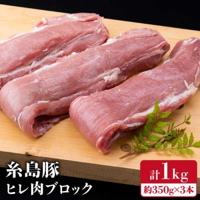 【豚肉ブロック】糸島豚 ヒレ肉 ブロック 1kg (350g前後×3本)《糸島》[ACA232]