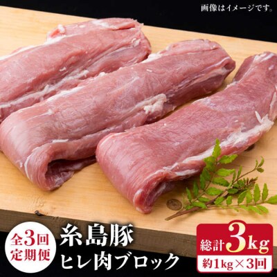 【全3回定期便】糸島豚 ヒレ肉 ブロック 1kg (1本350g前後×3本)《糸島》[ACA233]