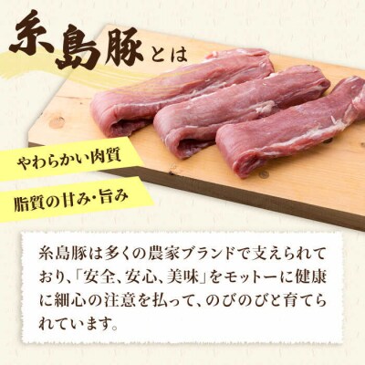 【全3回定期便】糸島豚 ヒレ肉 ブロック 1kg (1本350g前後×3本)《糸島》[ACA233]