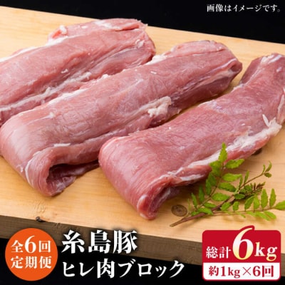 【全6回定期便】糸島豚 ヒレ肉 ブロック 1kg (1本350g前後×3本)《糸島》[ACA234]