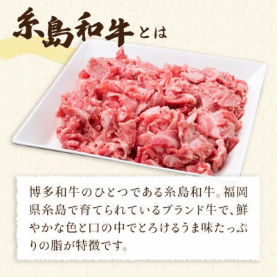 糸島和牛 小間切れ 500g & 糸島和牛 糸島豚 合挽ミンチ 500g 計1kg[ACA236]