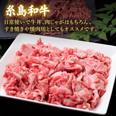 【全3回定期便】糸島和牛小間切れ500g&糸島和牛糸島豚合挽ミンチ500g合計1kg[ACA237]