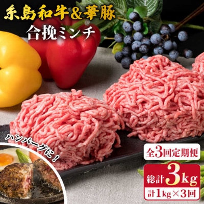 【全3回定期便】糸島和牛 糸島豚 合挽ミンチ 500g×2p×3回 計3kg [ACA257]