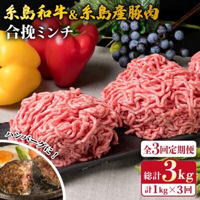【全3回定期便】糸島和牛 糸島産豚肉 合挽ミンチ 500g×2p×3回 計3kg [ACA257]