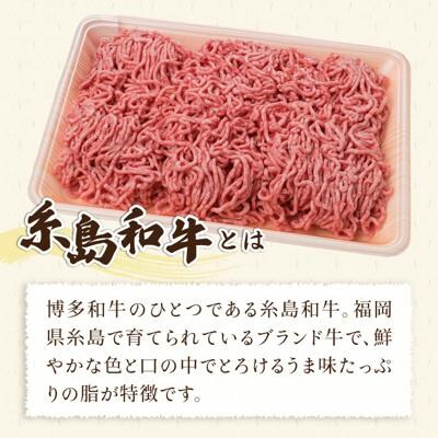 【全3回定期便】糸島和牛 糸島産豚肉 合挽ミンチ 500g×2p×3回 計3kg [ACA257]