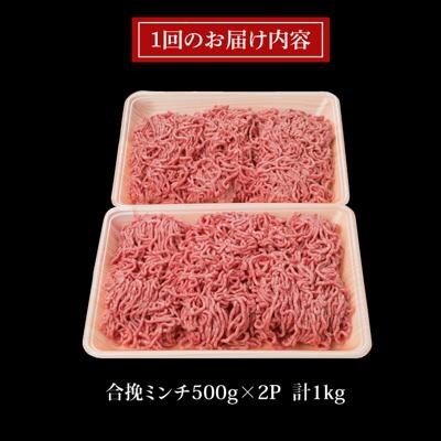 【全3回定期便】糸島和牛 糸島産豚肉 合挽ミンチ 500g×2p×3回 計3kg [ACA257]