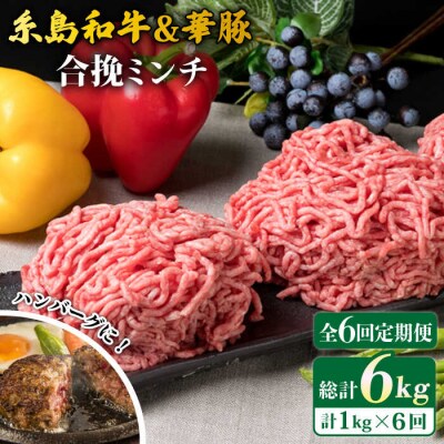 【全6回定期便】糸島和牛 糸島豚 合挽ミンチ 500g×2p×6回 計6kg [ACA258]