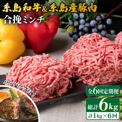 【全6回定期便】糸島和牛 糸島産豚肉 合挽ミンチ 500g×2p×6回 計6kg [ACA258]