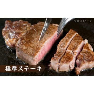 【全12回定期便】【極厚シャトーブリアン】A4ランク黒毛和牛ヒレ肉 約180g×3枚[ACA370]