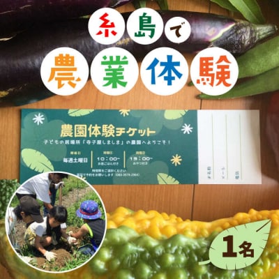 農業体験(1名) 栽培期間中農薬不使用 無化学肥料 無除草剤の畑で野菜のお世話体験[AAL001]